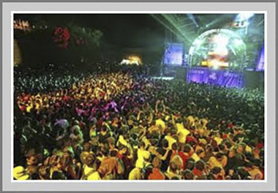 concert crowd